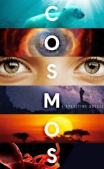 Cosmos: Bir Uzay Serüveni
