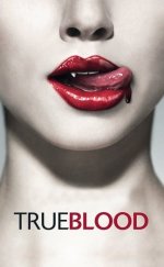True Blood Türkçe Dublaj 1080p İzle
