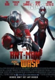 Ant-Man and the Wasp – Karınca Adam ve Eşek Arısı (2018)