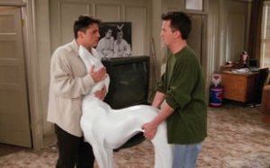 Friends 2. Sezon 19. Bölüm İzle – Türkçe Dublaj İzle