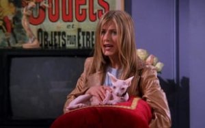 Friends 5. Sezon 21. Bölüm İzle – Türkçe Dublaj İzle