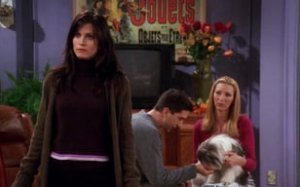 Friends 7. Sezon 8. Bölüm İzle – Türkçe Dublaj İzle