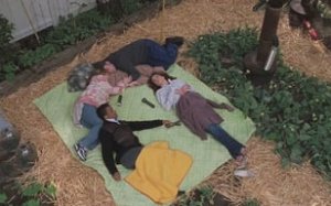 Gilmore Girls 4. Sezon 20. Bölüm İzle – Türkçe Dublaj İzle
